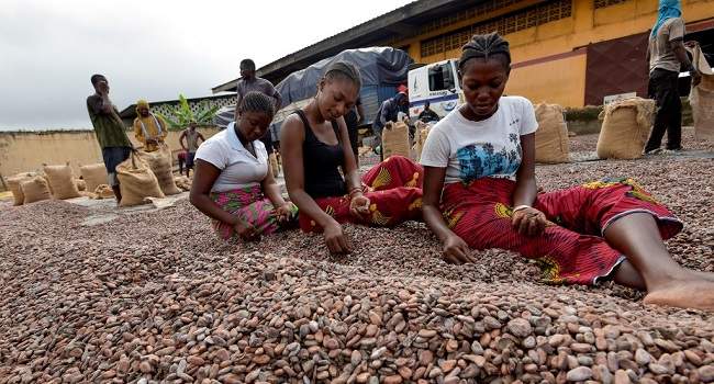 Nigeria's Exports Surge 2.6% to $2.7 Billion in First Half