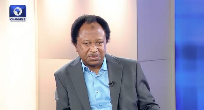 North Protests: Attempt to Overthrow Government, Says Shehu Sani