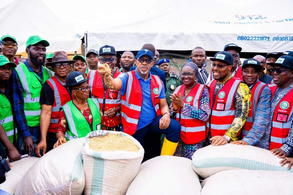 Ogun State Joins Rice Producing States, Eyes N30 Billion Revenue