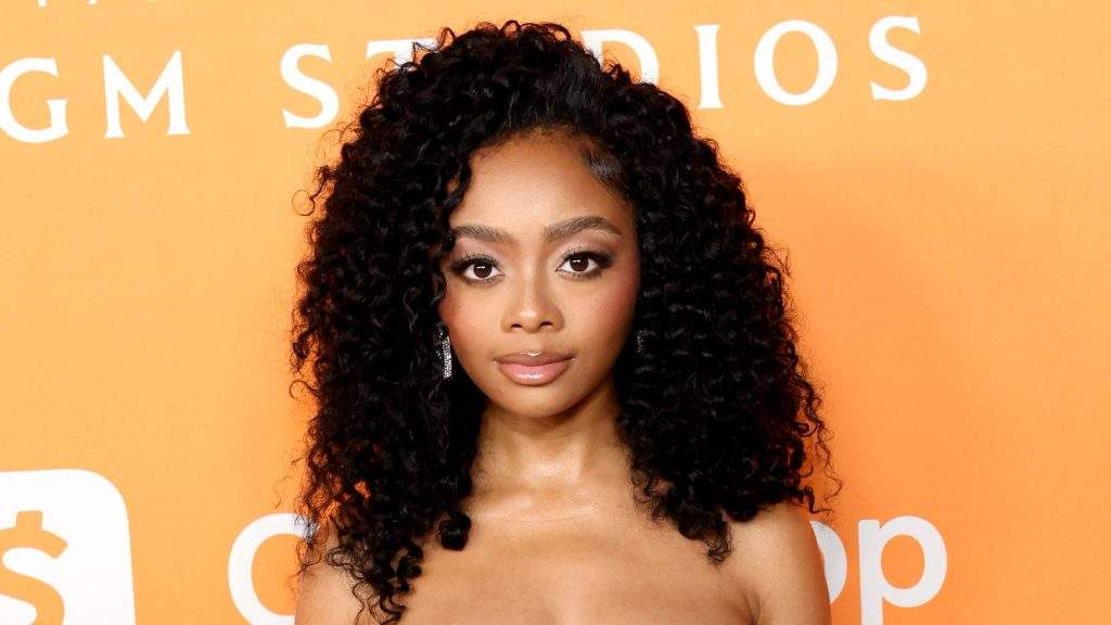 Skai Jackson Avoids Question About Domestic Battery Arrest on TikTok