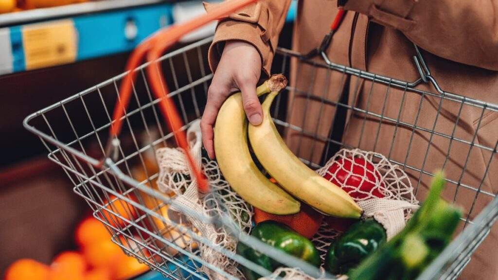 TikTok User's Shocking Grocery Haul Price Quadruples in 2 Years
