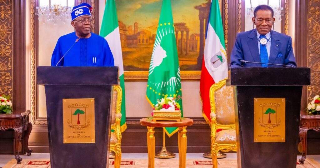 Tinubu Urges African Leaders to Stem Tribalism, Reward Performance to