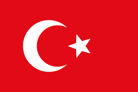 Turkey Detains 99 Suspected Islamic State Members in Nationwide Raids