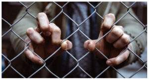 UAE Mediates Release of 230 Captives in Russia Ukraine Prisoner Swap