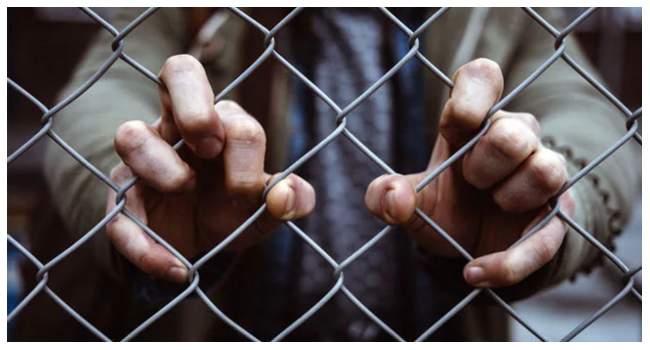 UAE Mediates Release of 230 Captives in Russia Ukraine Prisoner Swap