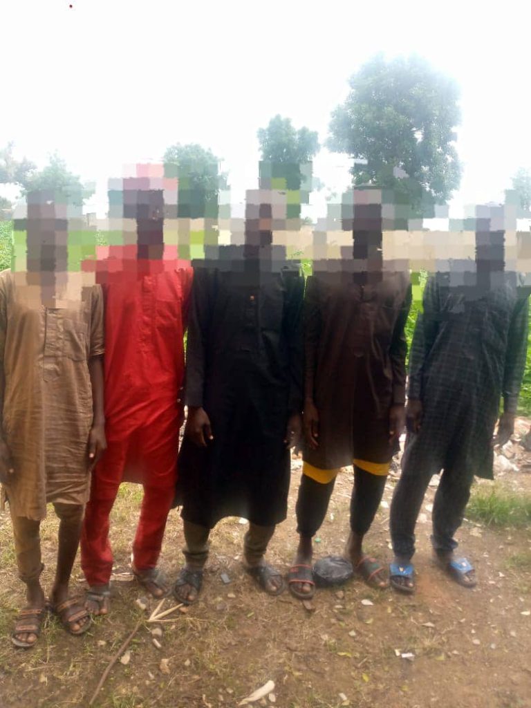 Katsina Police Foils Bandits' Attacks, Rescues 5 Kidnap Victims