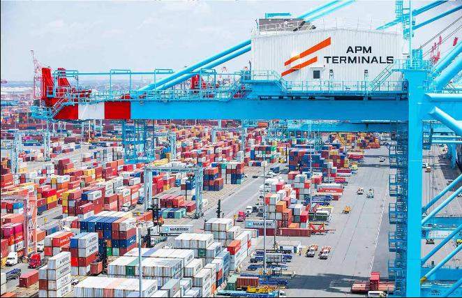 APM Terminals Records 25% Export Growth in 2024