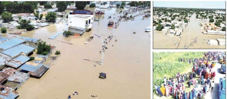 Borno Flood Disaster 200m Required to Tackle Humanitarian Crisis