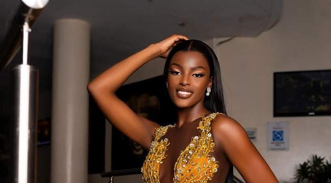 Chidinma Adetshina Crowned Miss Universe Nigeria 2024
