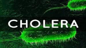 Cholera Cases and Deaths Surge Globally in 2023