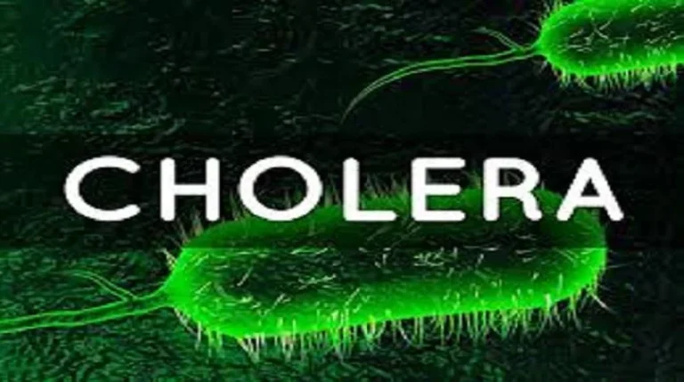 Cholera Cases and Deaths Surge Globally in 2023