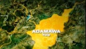 Cholera Outbreak Kills 4, Injures 36 in Adamawa State