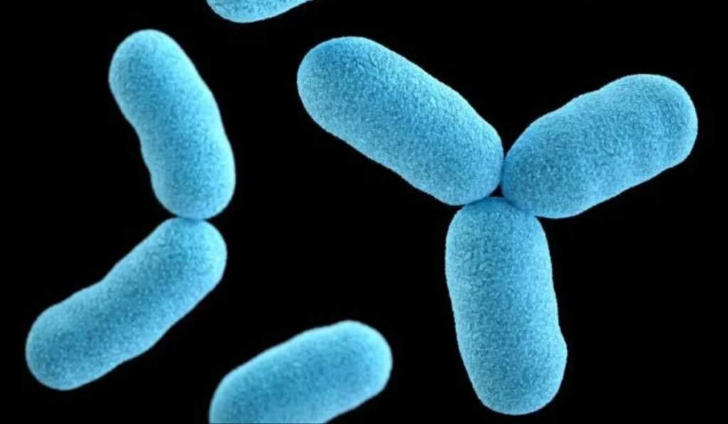 Edo Records 2 Diphtheria Deaths, 20 Suspected Cases in 2024