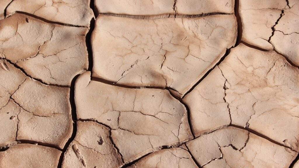 El Niño like event may have triggered mass extinction 250 million