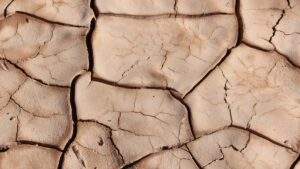 El Niño like event may have triggered mass extinction 250 million
