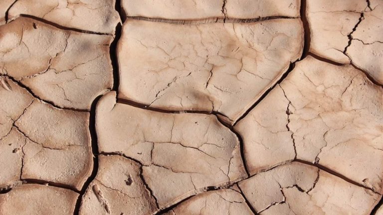 El Niño like event may have triggered mass extinction 250 million