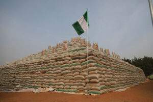 FG Flags Off 30,000MT Milled Rice Sales, Targets Food Security