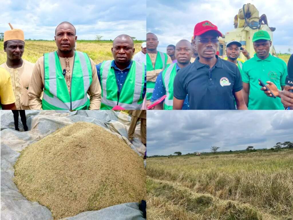 Hausa Community Denies Ownership of 200 Hectare Rice Farm in Ogun