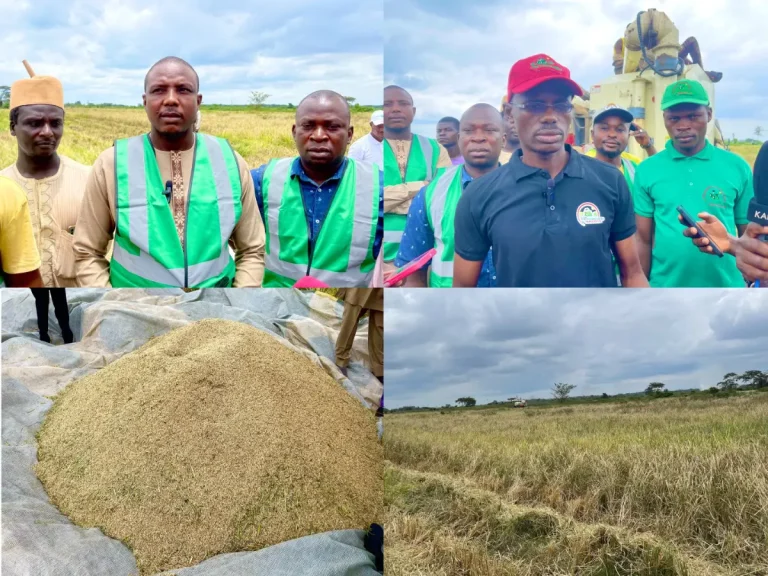Hausa Community Denies Ownership of 200 Hectare Rice Farm in Ogun