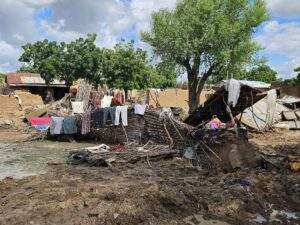 Here Is A Title That Accurately Reflects The Content And 300x225