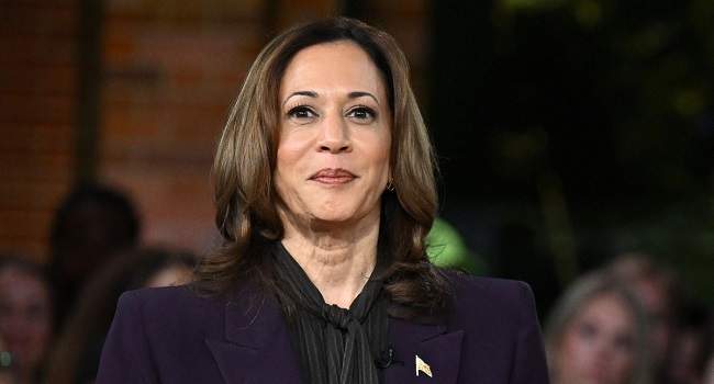 Kamala Harris sits for rare interview on economic proposals