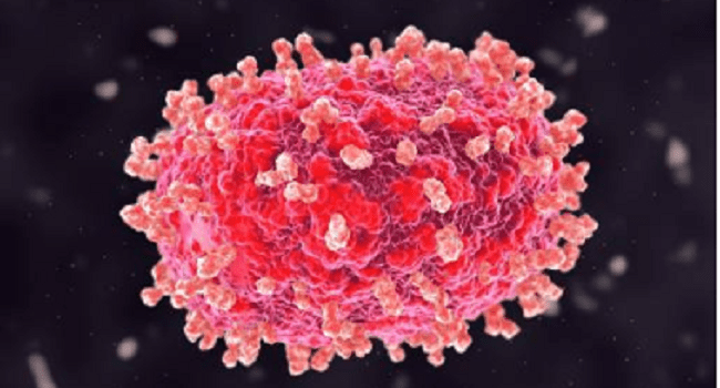 Kamitugas Nightlife Fuels Deadly Mpox Outbreak