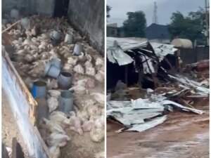 N150m Poultry Farm Demolished in Abuja without Notice