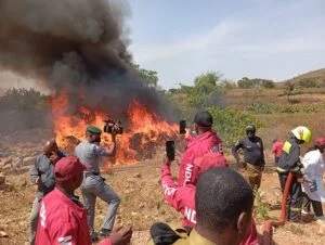 NDLEA Destroys 100,000kg Cannabis in Ekiti, Arrests Suspects