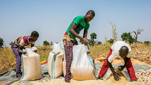 Nigeria Loses Half of Agricultural Products Why Food Waste Matters
