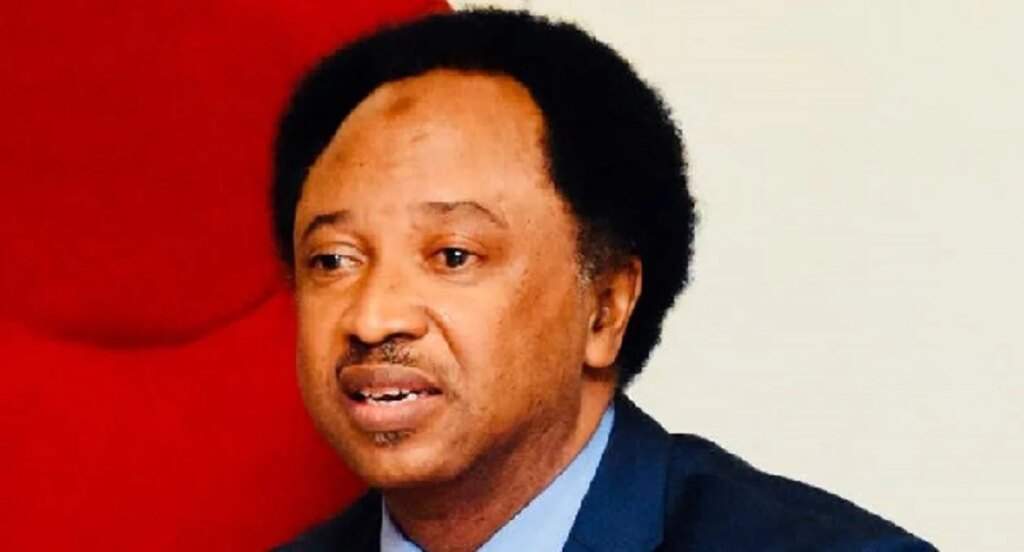 PDP on life support: Sani exposes differing views on crisis