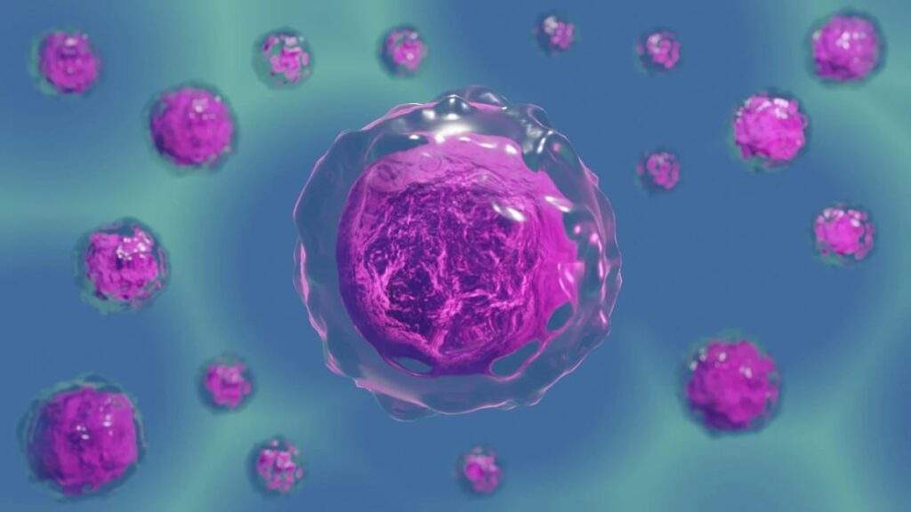Reversing Age: Scientists Revive Old Mouse Eggs in Breakthrough Fertility