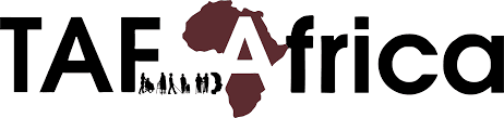 TAF Africa Teams Up with INEC for Disability Friendly Governorship Election