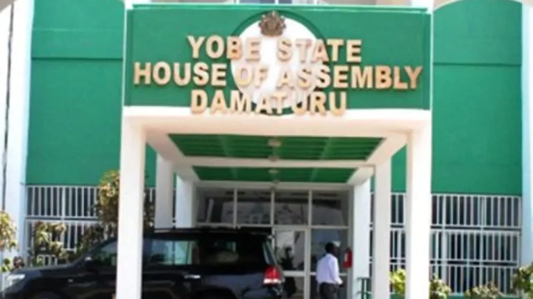 Yobe Assembly Urges Construction of Earth Dams for Irrigation