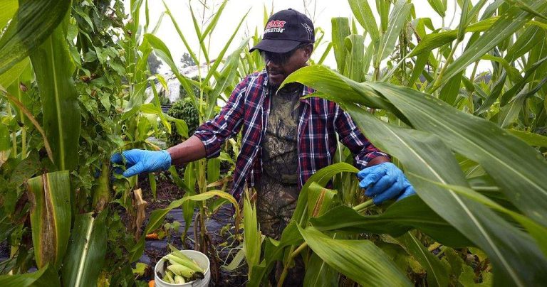 Refugees Find New Roots in US Farming
