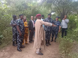 Abia Police Recovers 56 Cattle After Attack 300x225
