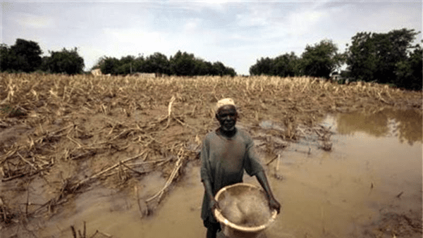 Combating Climate Change: Urgent Action Needed