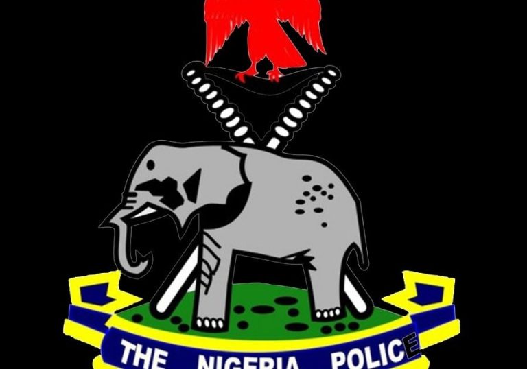 Lagos Police Hunt for Father Accused of Assaulting Kids