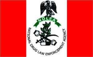 NDLEA Partners with Rano Community to Combat Drug Abuse