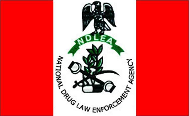 NDLEA Partners with Rano Community to Combat Drug Abuse