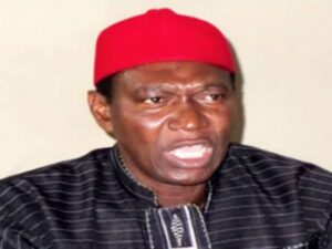 Ndu Slams Tinubu's Economic Policies