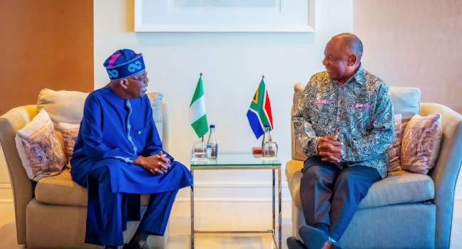 Nigeria South Africa Rivalry Sports Music and Politics in Tensions