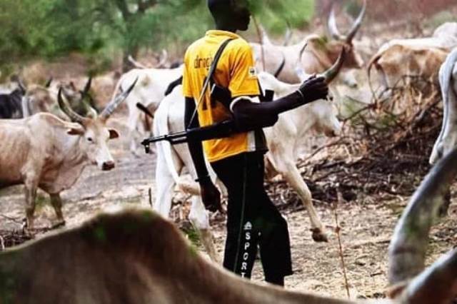 Nigerian Farmers Lose Millions to Alleged Herder Attacks