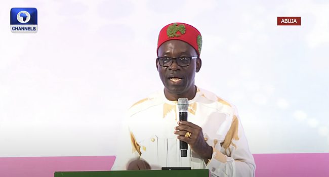 Nigeria's Economic Future: Boosting Domestic Investment