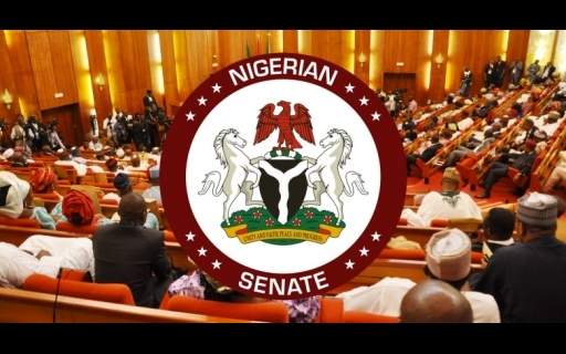 Nigeria's Senate Eyes Bill to Regulate Airlines, Promote Aviation Growth