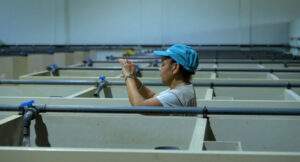 Senegals Aquaculture Ambitions A Lifeline for Fish Dependent Communities