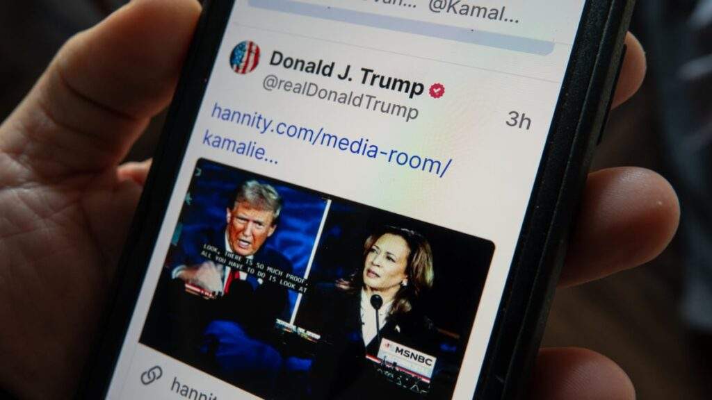 The Dark Side of Online Politics