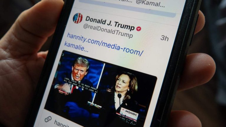 The Dark Side of Online Politics