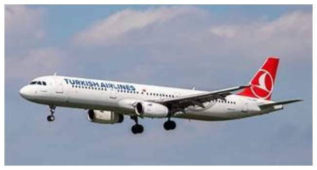 Turkish Airlines Pilot Dies Mid Flight, Forces Emergency Landing