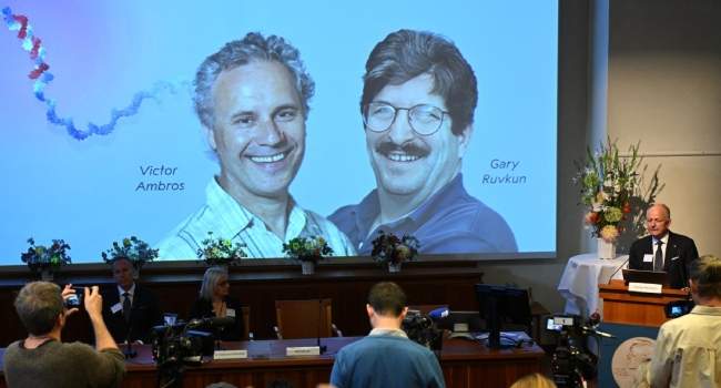 US Scientists Win Nobel Prize in Medicine for MicroRNA Discovery