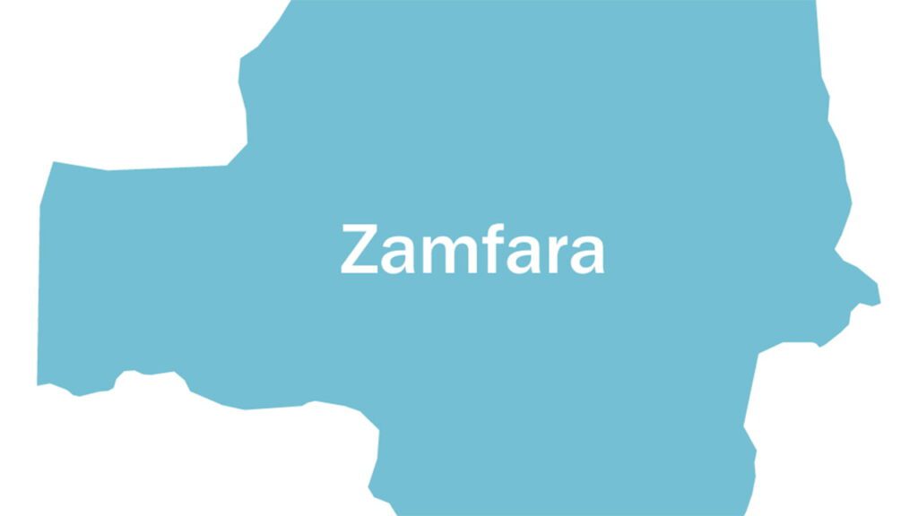 Zamfara State Hits 1 Year Polio Free Milestone